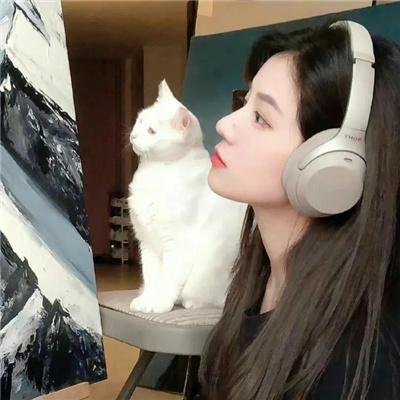 夺宝记